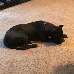 Meet your Posher, Ranjit